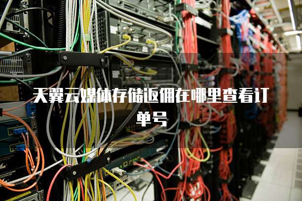 天翼云媒体存储返佣在哪里查看订单号