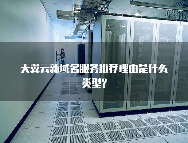 天翼云新域名服务推荐理由是什么类型?