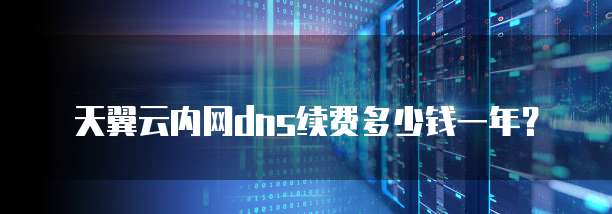 天翼云内网dns续费多少钱一年?