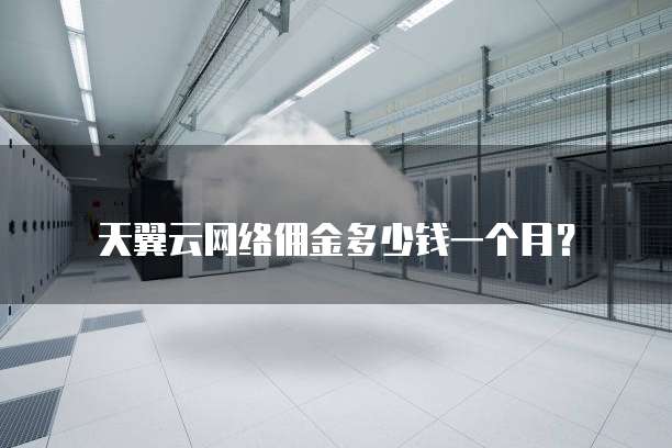 天翼云网络佣金多少钱一个月？