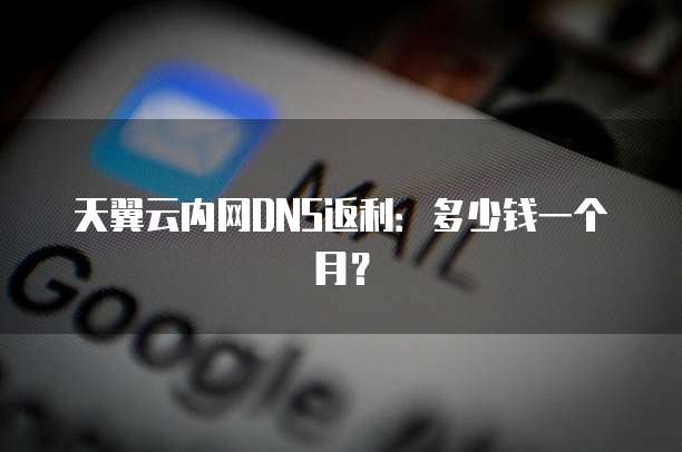 天翼云内网DNS返利:多少钱一个月?