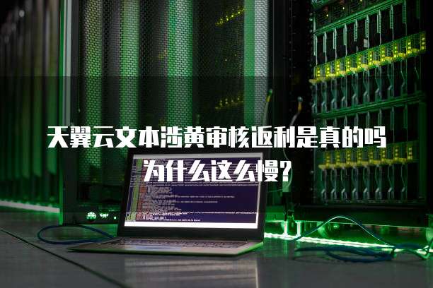 天翼云文本涉黄审核返利是真的吗为什么这么慢?