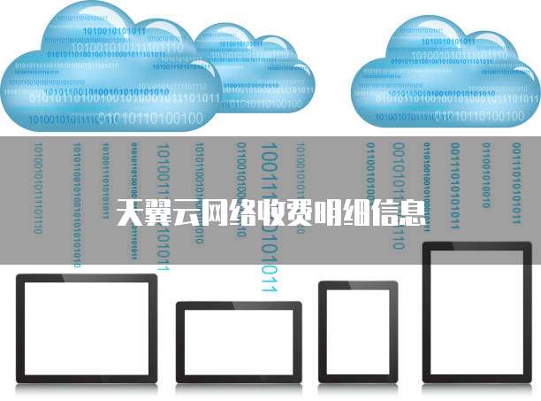 天翼云网络收费明细信息