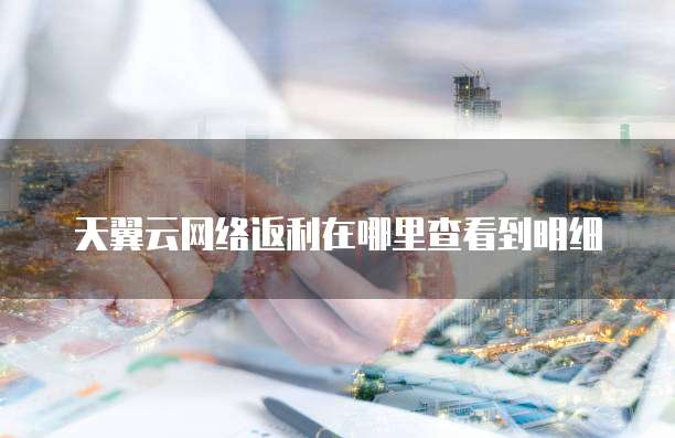 天翼云网络返利在哪里查看到明细