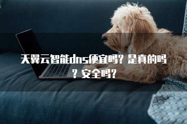 天翼云智能dns便宜吗?是真的吗?安全吗?