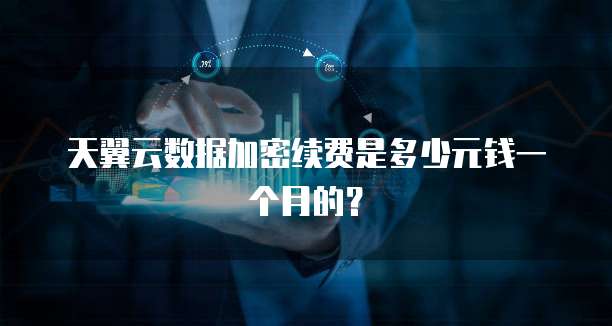 天翼云数据加密续费是多少元钱一个月的?