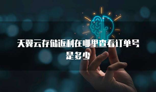 天翼云存储返利在哪里查看订单号是多少