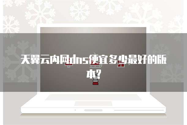 天翼云内网dns便宜多少最好的版本?