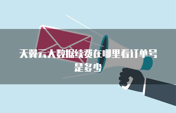 天翼云大数据续费在哪里看订单号是多少