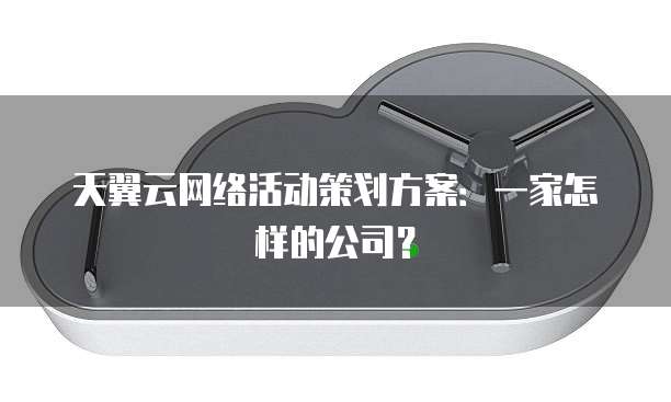 天翼云网络活动策划方案:一家怎样的公司?