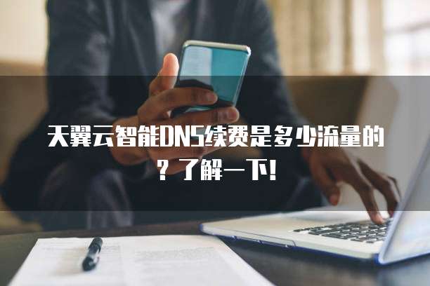 天翼云智能DNS续费是多少流量的?了解一下!