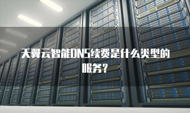 天翼云智能DNS续费是什么类型的服务?