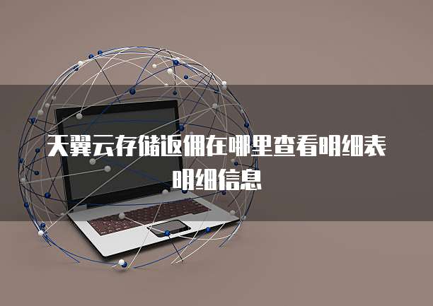 天翼云存储返佣在哪里查看明细表明细信息