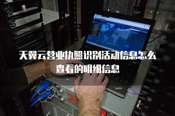 天翼云营业执照识别活动信息怎么查看的明细信息