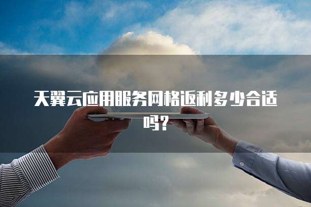 天翼云应用服务网格返利多少合适吗?