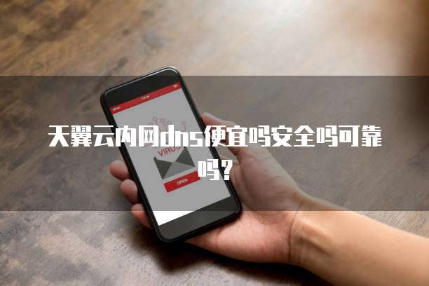 天翼云内网dns便宜吗安全吗可靠吗?