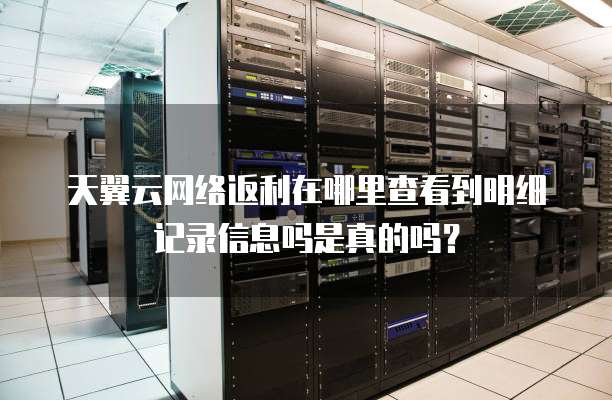 天翼云网络返利在哪里查看到明细记录信息吗是真的吗？