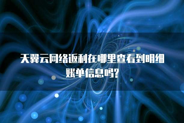 天翼云网络返利在哪里查看到明细账单信息吗?