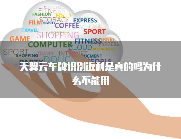 天翼云车牌识别返利是真的吗为什么不能用