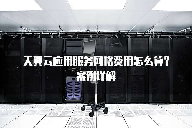 天翼云应用服务网格费用怎么算？案例详解