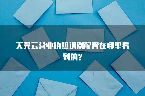 天翼云营业执照识别配置在哪里看到的?