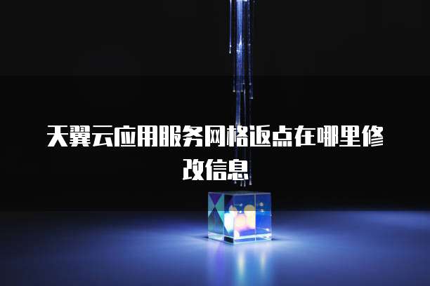 天翼云应用服务网格返点在哪里修改信息