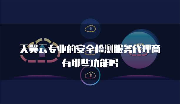 天翼云专业的安全检测服务代理商有哪些功能吗