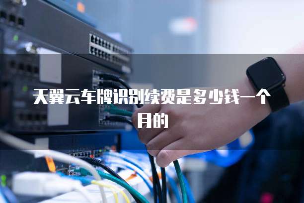 天翼云车牌识别续费是多少钱一个月的