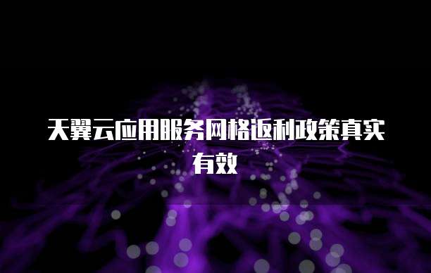 天翼云应用服务网格返利政策真实有效