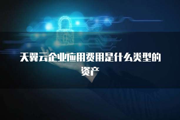 天翼云企业应用费用是什么类型的资产