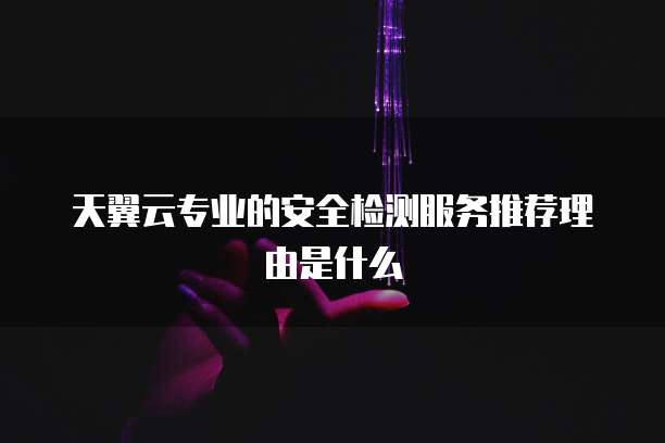 天翼云专业的安全检测服务推荐理由是什么