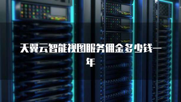 天翼云智能视图服务佣金多少钱一年