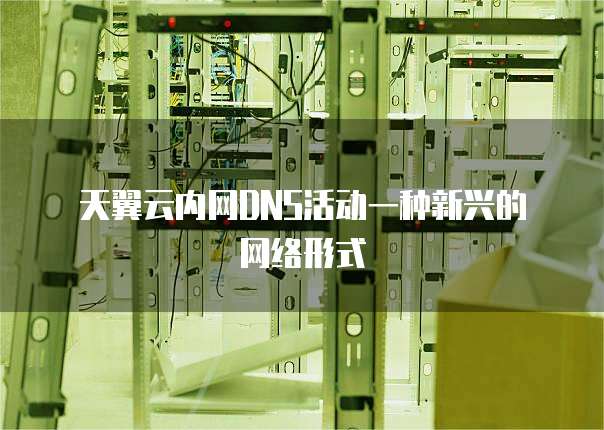 天翼云内网DNS活动一种新兴的网络形式