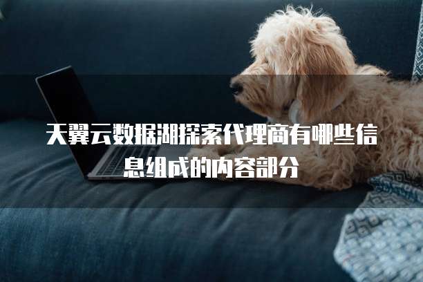 天翼云数据湖探索代理商有哪些信息组成的内容部分