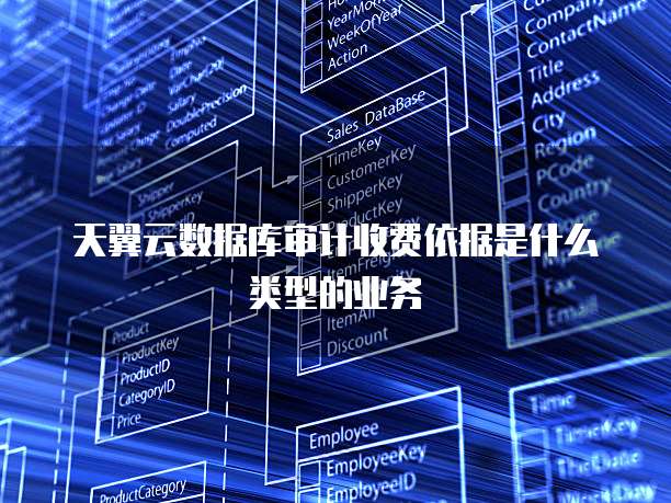 天翼云数据库审计收费依据是什么类型的业务