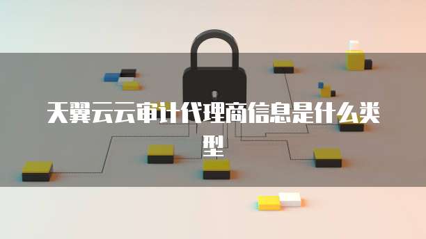 天翼云云审计代理商信息是什么类型