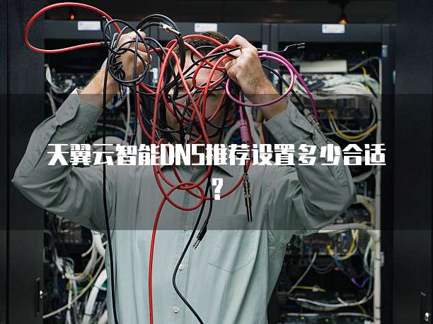 天翼云智能DNS推荐设置多少合适?