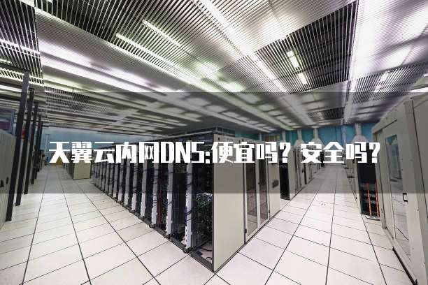 天翼云内网DNS:便宜吗?安全吗?