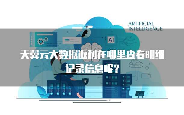 天翼云大数据返利在哪里查看明细记录信息呢?