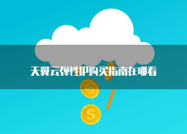 天翼云弹性IP购买指南在哪看