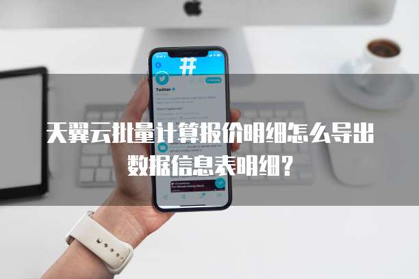 天翼云批量计算报价明细怎么导出数据信息表明细？