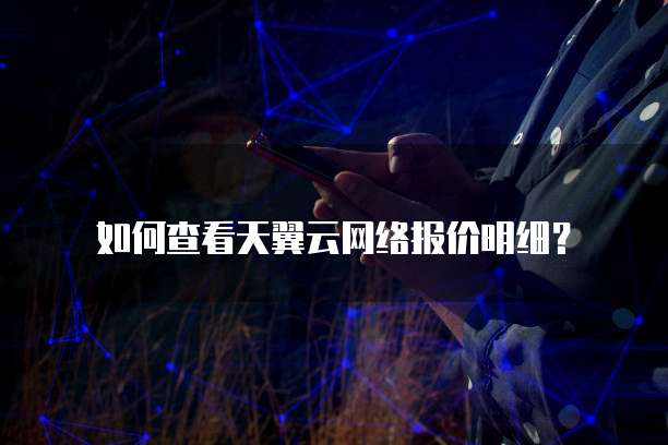 如何查看天翼云网络报价明细?