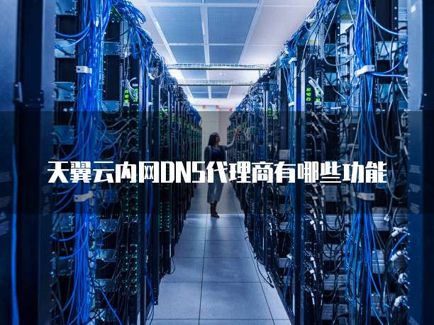 天翼云内网DNS代理商有哪些功能
