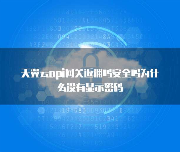 天翼云api网关返佣吗安全吗为什么没有显示密码