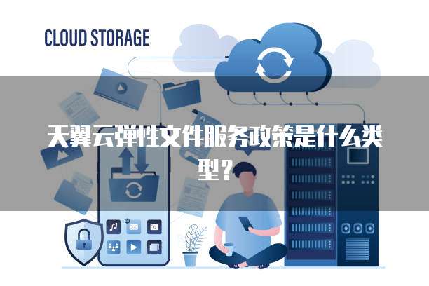 天翼云弹性文件服务政策是什么类型?