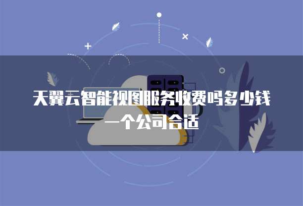 天翼云智能视图服务收费吗多少钱一个公司合适