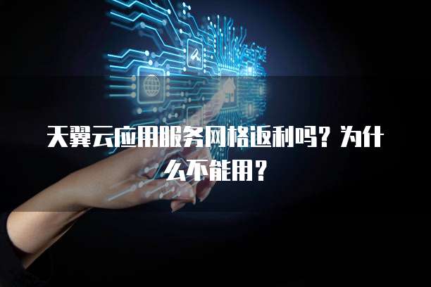 天翼云应用服务网格返利吗?为什么不能用?
