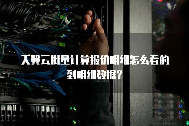 天翼云批量计算报价明细怎么看的到明细数据?