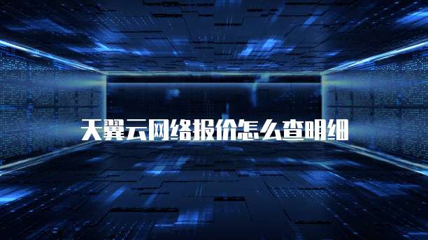 天翼云网络报价怎么查明细
