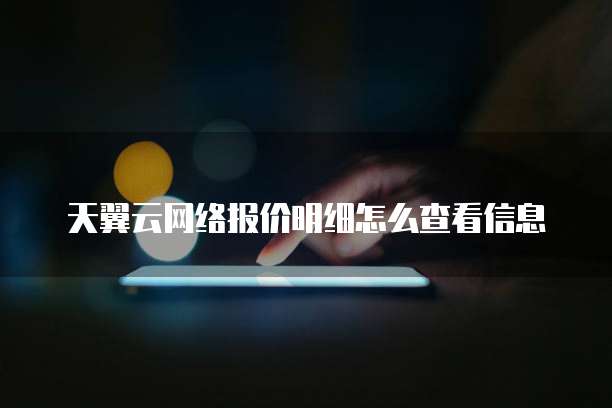 天翼云网络报价明细怎么查看信息